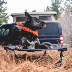 Helinox Elevated Dog Cot - Medium (Fall 2022) -Outdoor Camping helinox vanlife dog cot 600x 800x 9a70c463 4f67 4a19 b51f 4d3433991b27 800x800 rsz 32155.1646680882